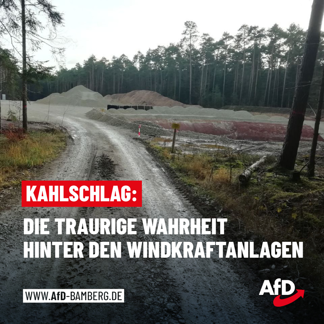 Kahlschlag: Die traurige Wahrheit hinter den Windkraftanlagen